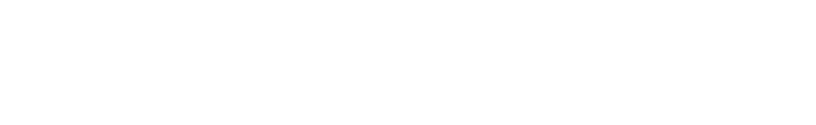 AceCom - Leading Ecommerce Enabler